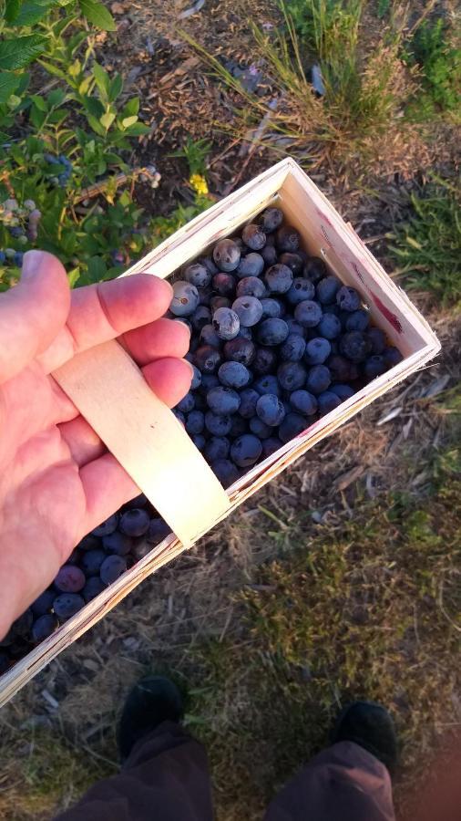 E Berry Farm - Slow Life Kaluzna エクステリア 写真