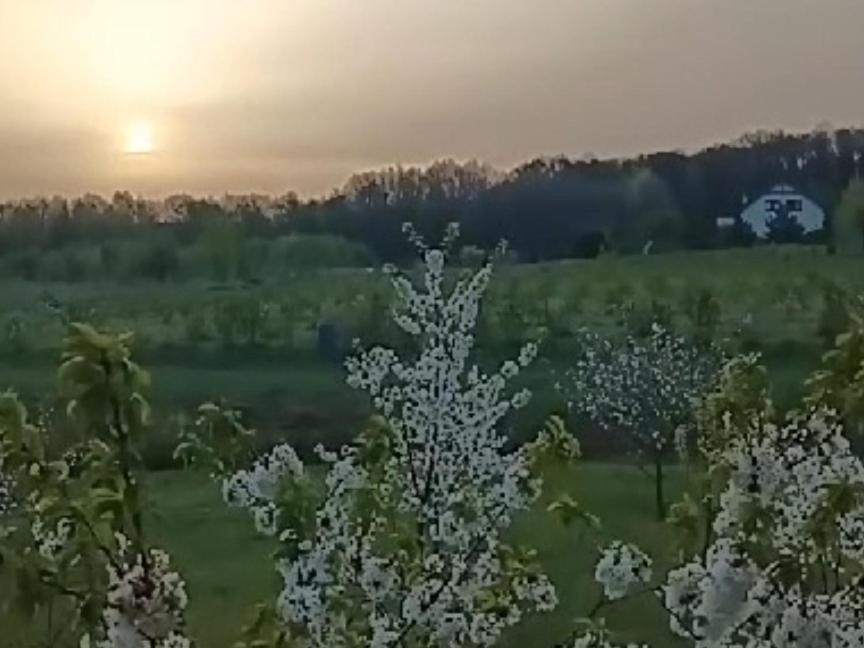 E Berry Farm - Slow Life Kaluzna エクステリア 写真